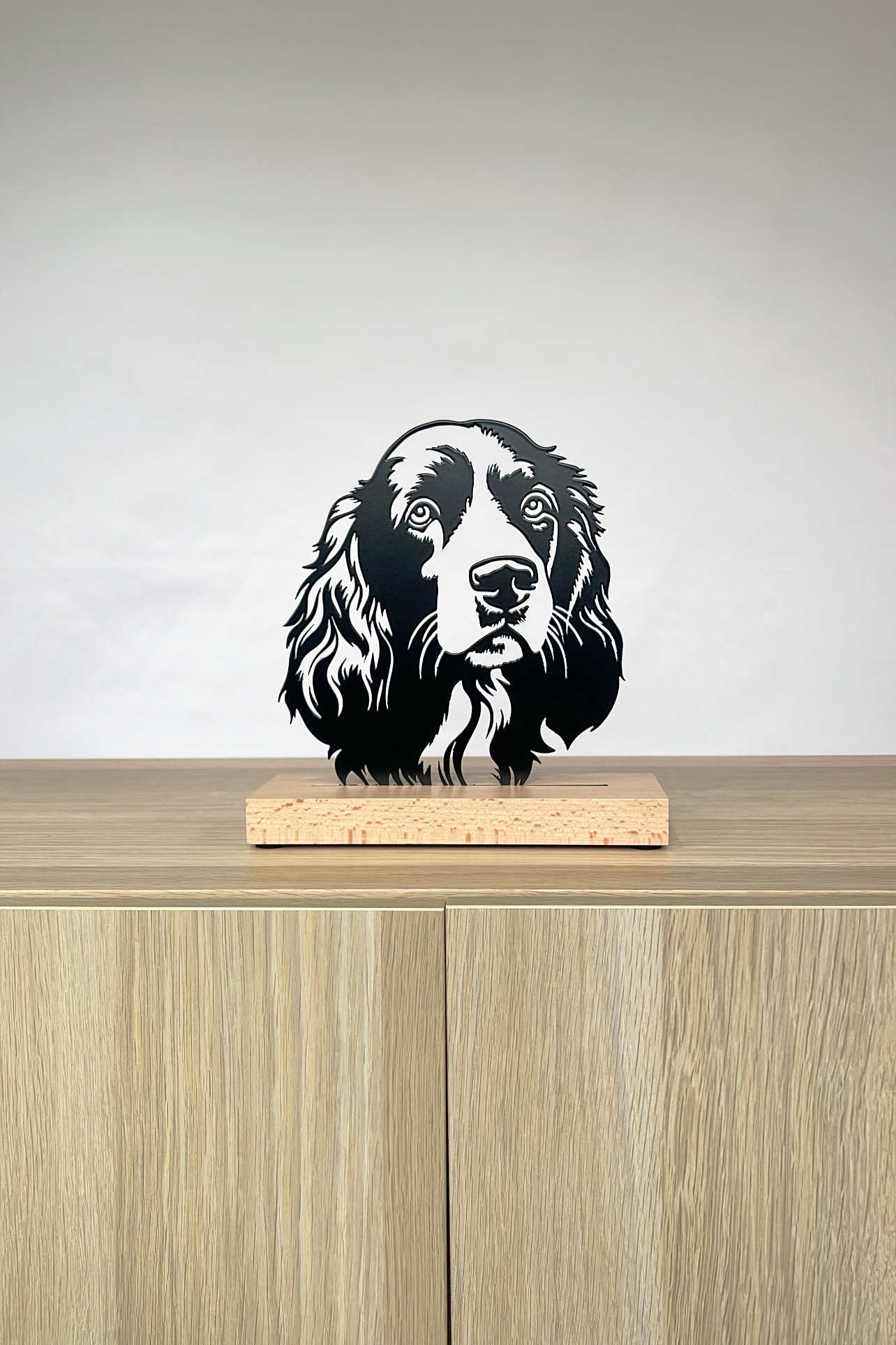 Spaniel Springer