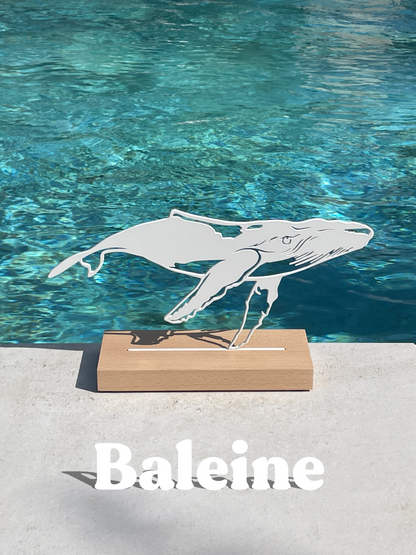 Baleine