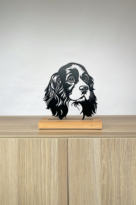 Cavalier King Charles